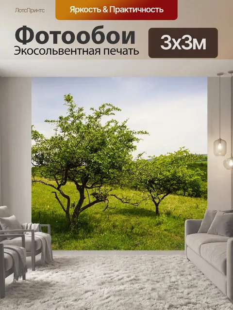 Фотообои Сад
