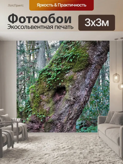 Фотообои Наклоненный