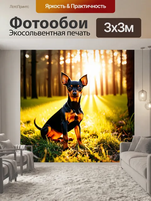 Фотообои той терьер, сидящий на природе во время золотого часа, с лучами солнца, проникающими сквозь деревья