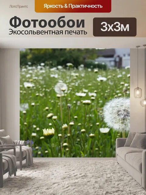Фотообои Одуванчики