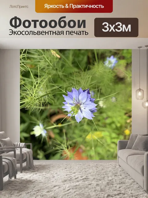 Фотообои Цветы