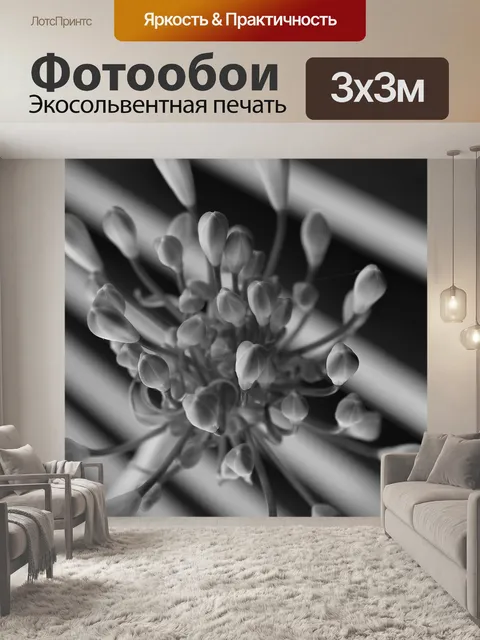 Фотообои Черно-белый