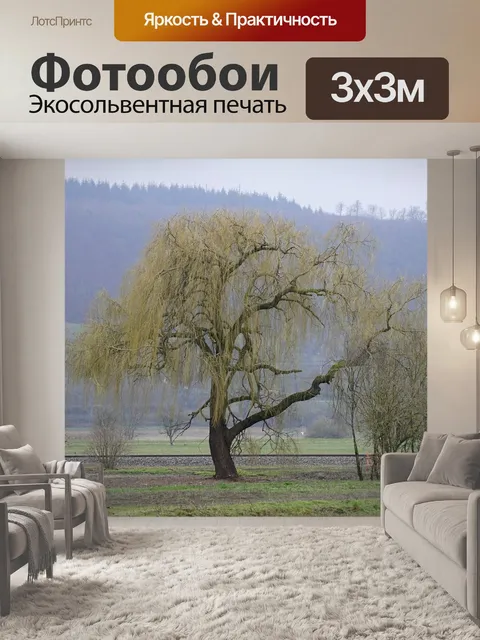 Фотообои Salix alba