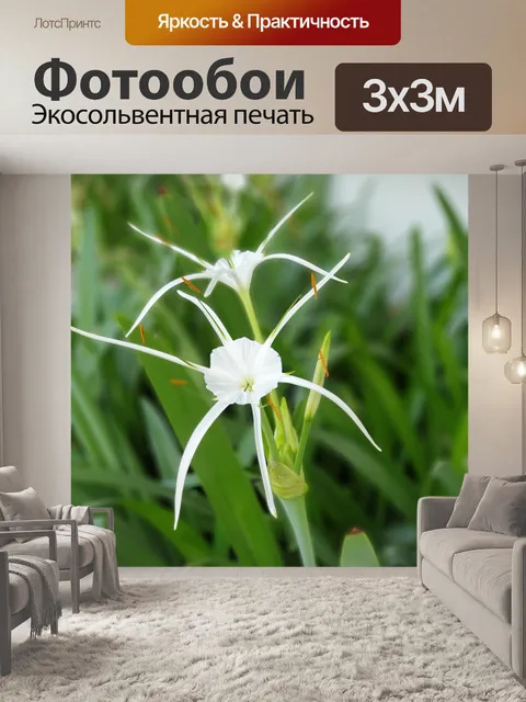 Фотообои Синий