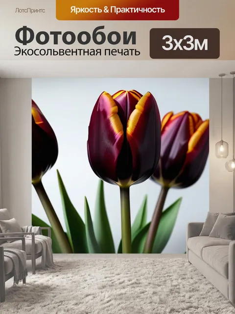 Фотообои темные тюльпаны на светлом фоне