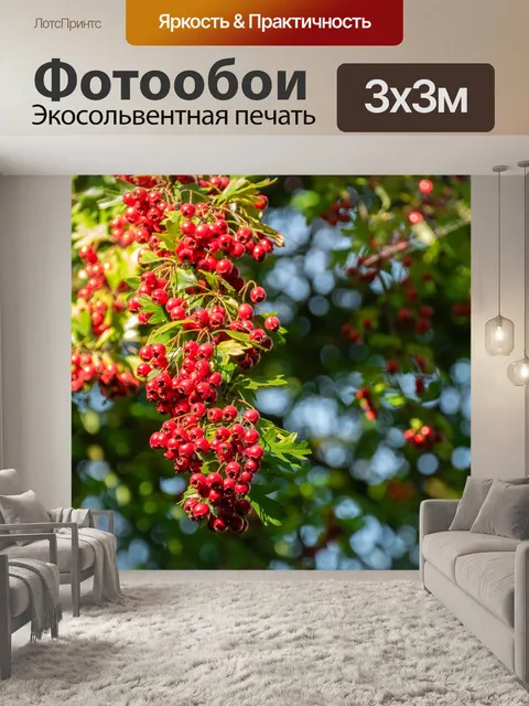 Фотообои Дерево