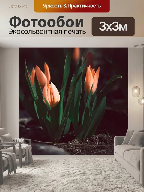 Фотообои Цветок