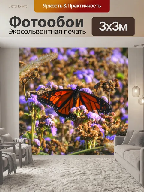 Фотообои Бабочка монарх