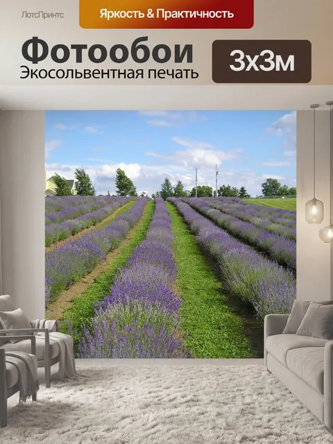 Фотообои Поля