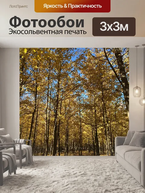 Фотообои Гинкго лес