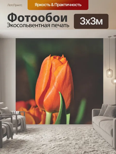 Фотообои Тюльпан