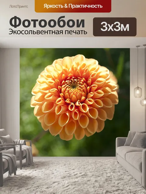 Фотообои Цветы