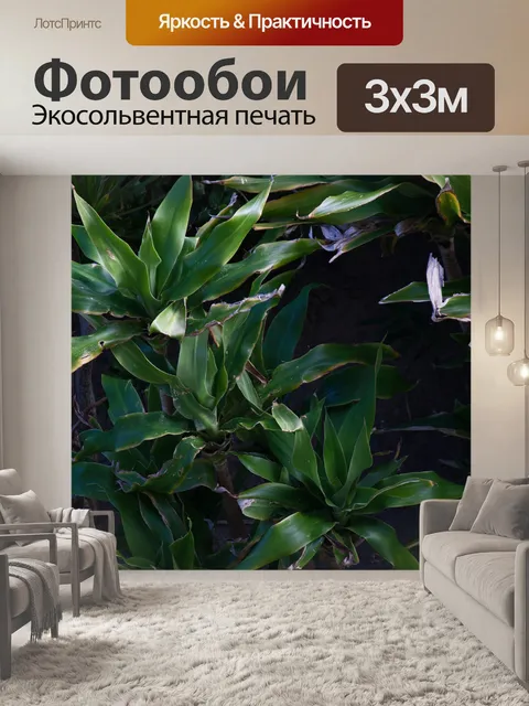 Фотообои вид зеленой субтропической листвы