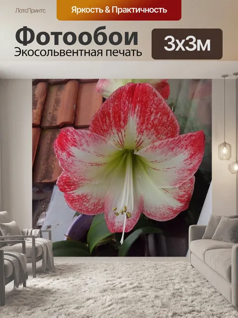 Фотообои Цветок