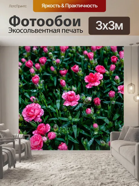 Фотообои Цветы
