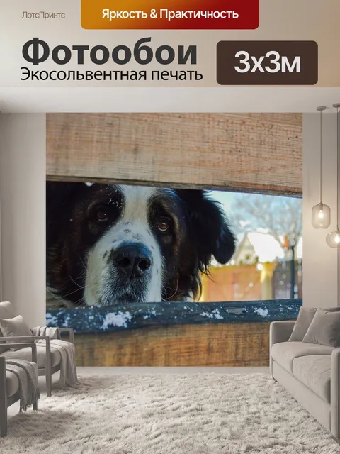 Фотообои Зима