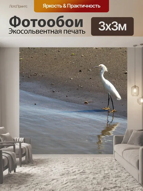 Фотообои Коста-Рика Белый Журавль