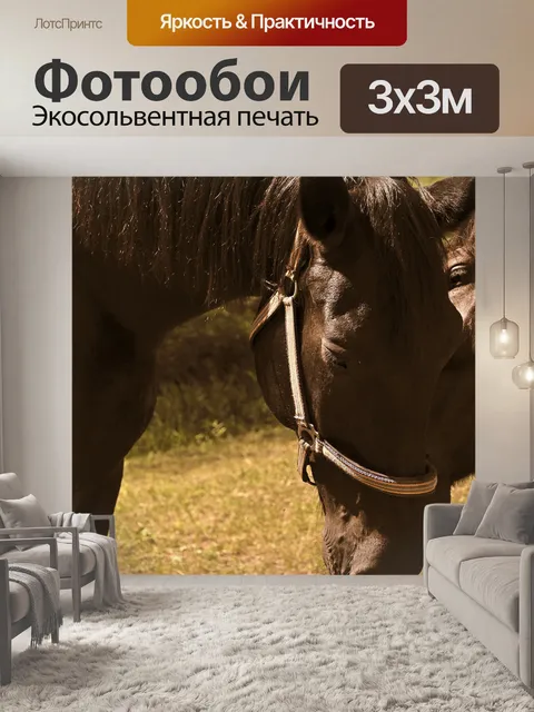 Фотообои Лошади