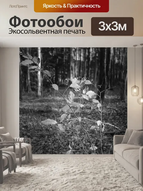 Фотообои Лес