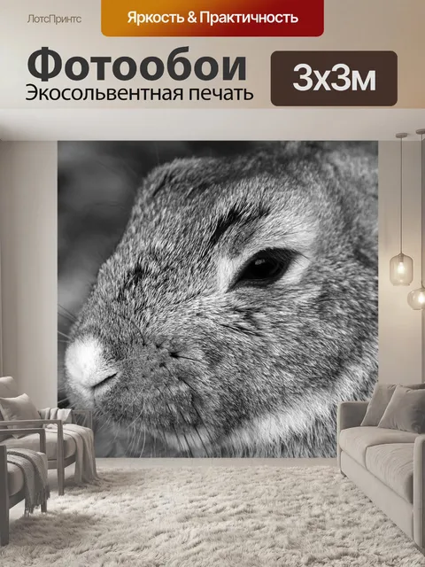 Фотообои Кролик