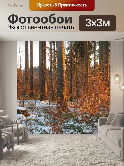 Фотообои Зима в лесу