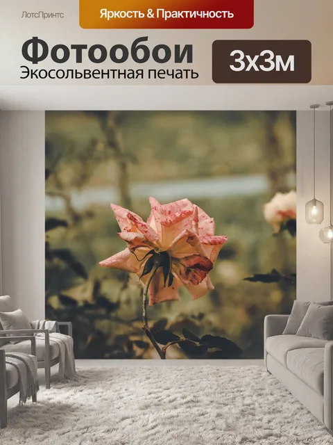Фотообои Роуз