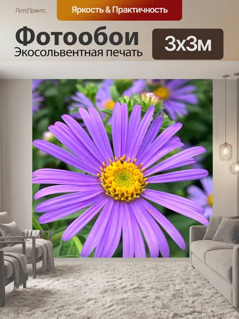 Фотообои Цветы