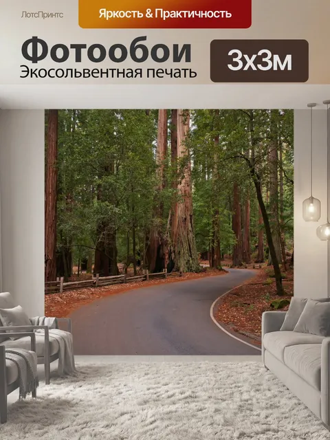 Фотообои Секвойи