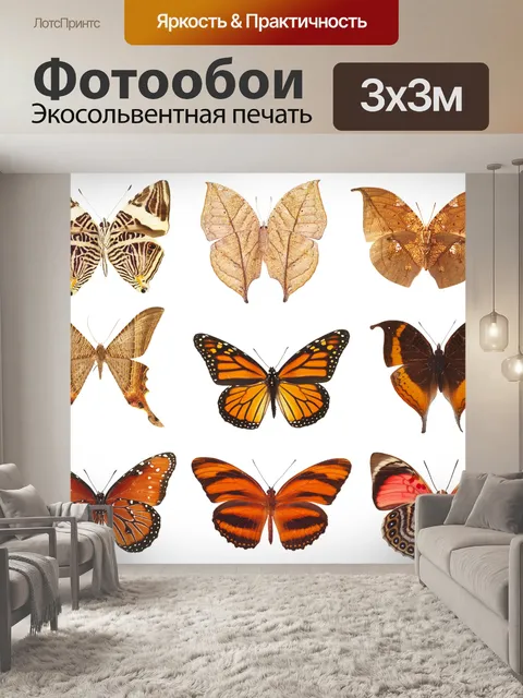 Фотообои Бабочки