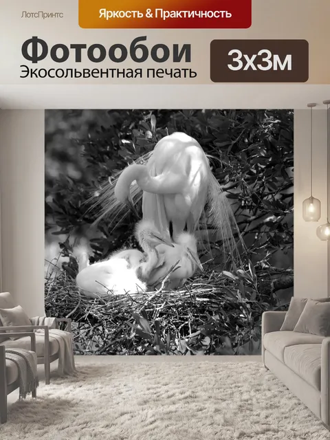 Фотообои Большая белая цапля с младенцами