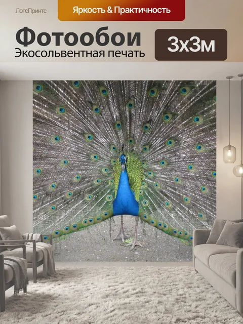 Фотообои Павлин