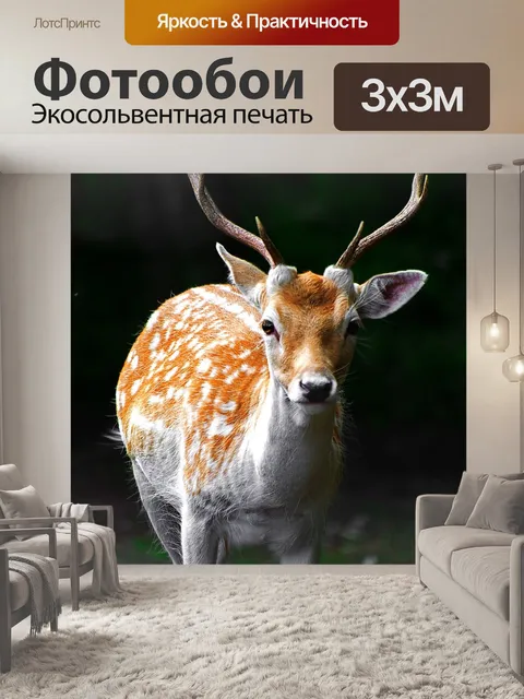 Фотообои Олень