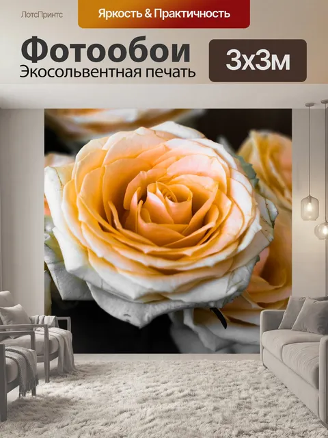 Фотообои Розы