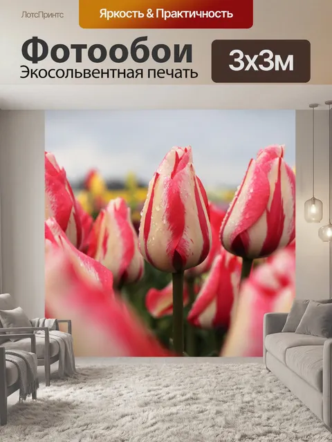 Фотообои Цветы