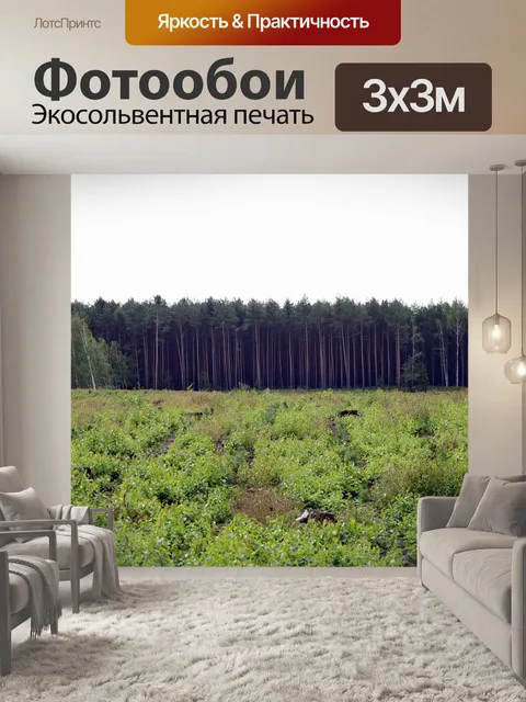 Фотообои Лес
