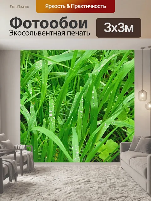 Фотообои Коллаж