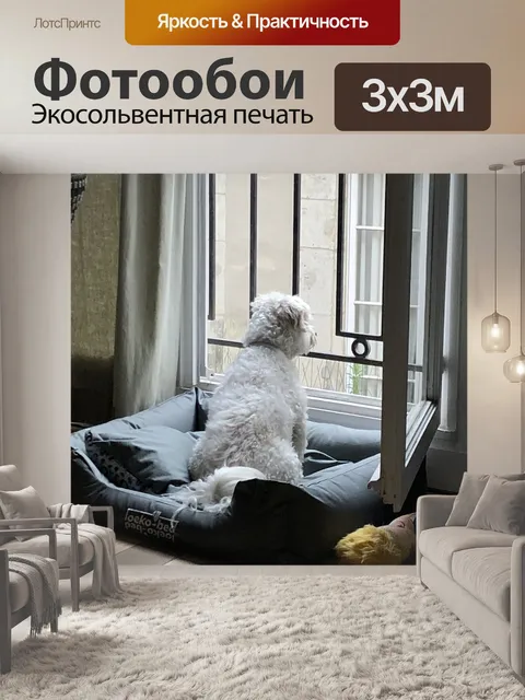 Фотообои Париж
