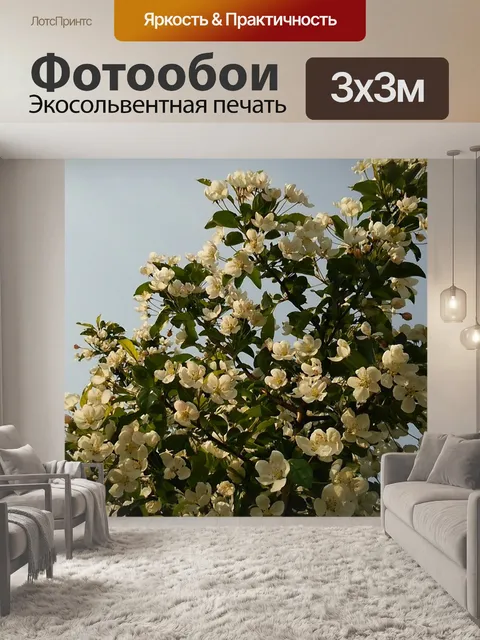 Фотообои Цветы