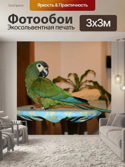 Фотообои Птица