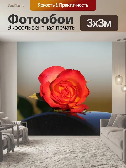 Фотообои Красная желтая роза