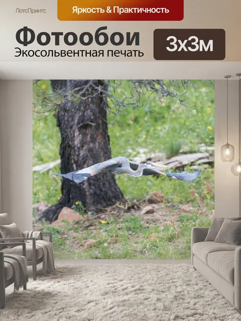 Фотообои Цапля над озером