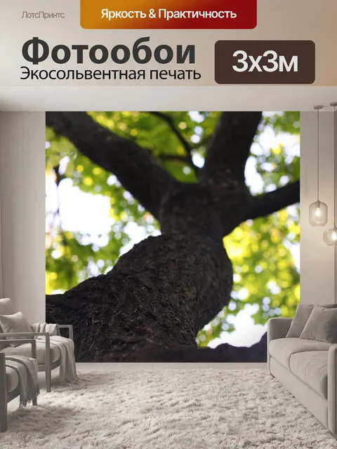 Фотообои Дерево