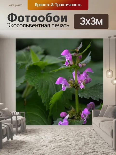 Фотообои Весна