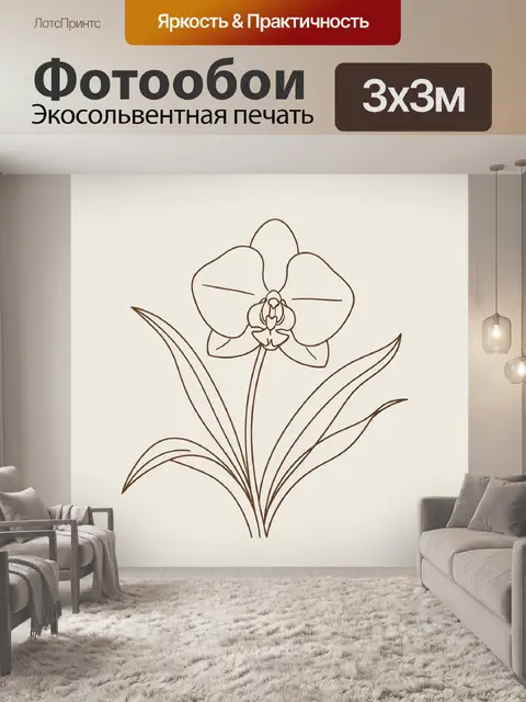 Фотообои Орхидея в минималистичном контуре