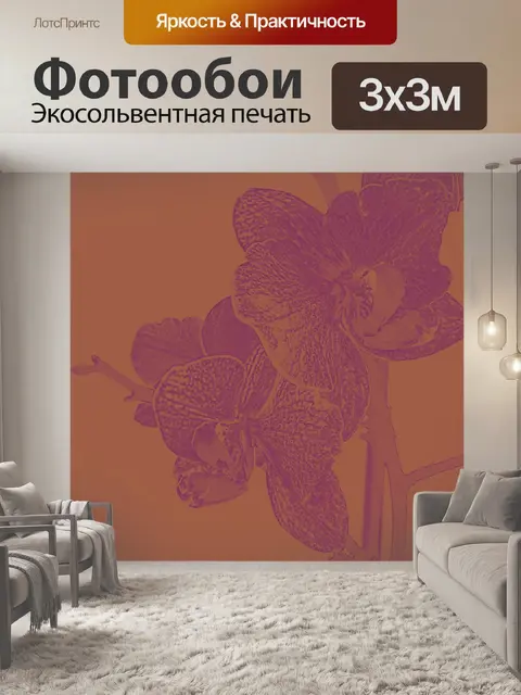 Фотообои Изолированная орхидея