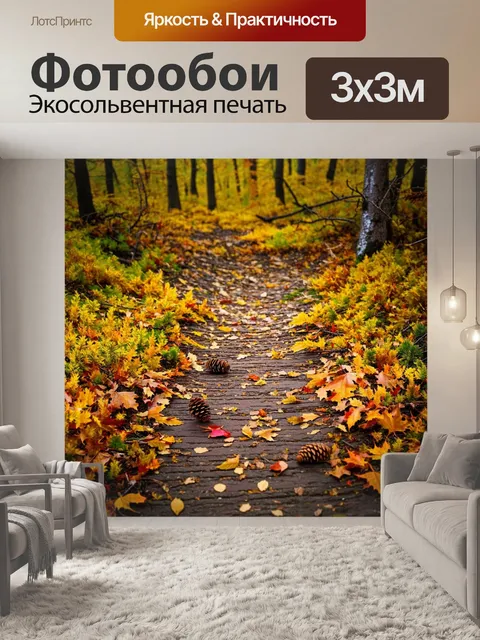 Фотообои лесные тропы карелии вдоль побережья онежского озера в осеннее время