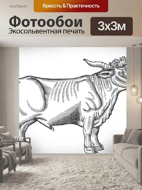 Фотообои Бык