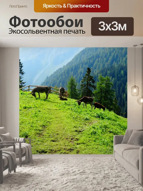 Фотообои Домашний осёл