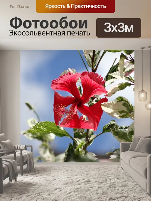 Фотообои Цветы
