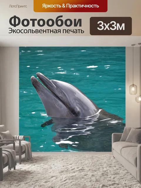 Фотообои Дельфин